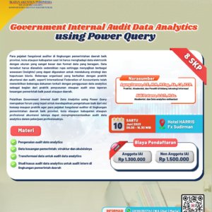 Government Internal Audit Data Analytics using Power Query