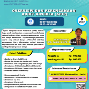 Overview dan Perencanaan Audit Kinerja (APIP)