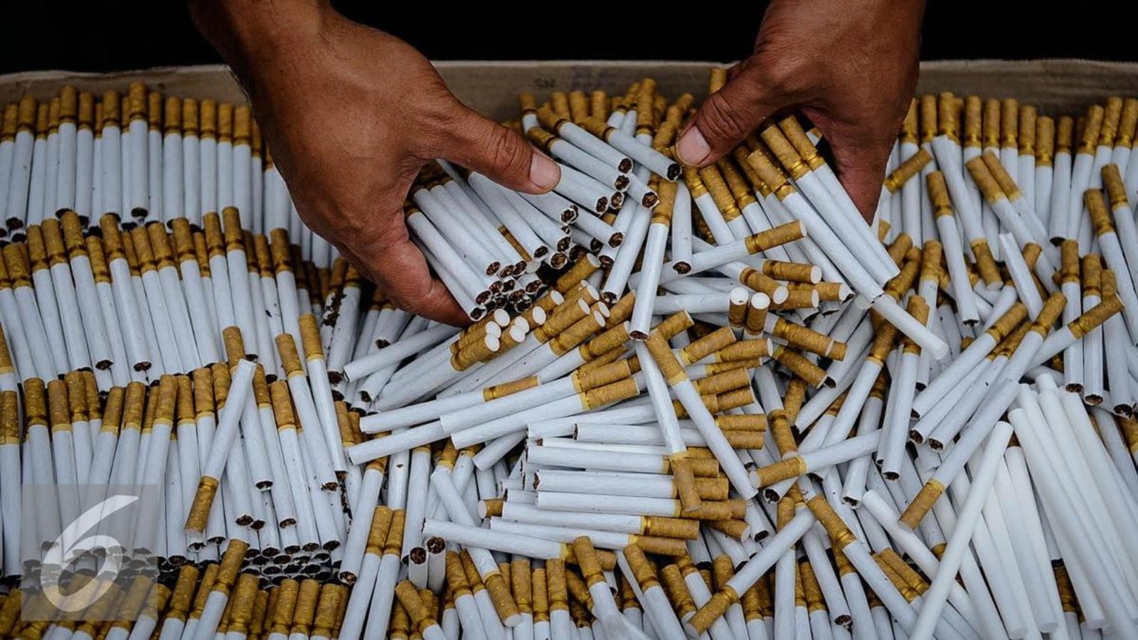 045635300_1475232910-20160930-Bea-Cukai-Rilis-Temuan-Rokok-Ilegal-Jakarta-Faizal-Fanani-09.jpg