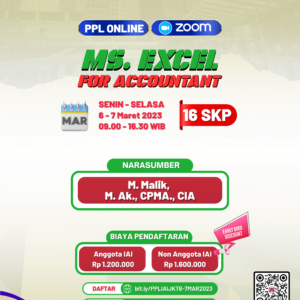 ms excel for accountant