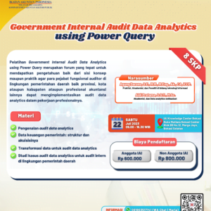 Government Internal Audit Data Analytics using Power Query