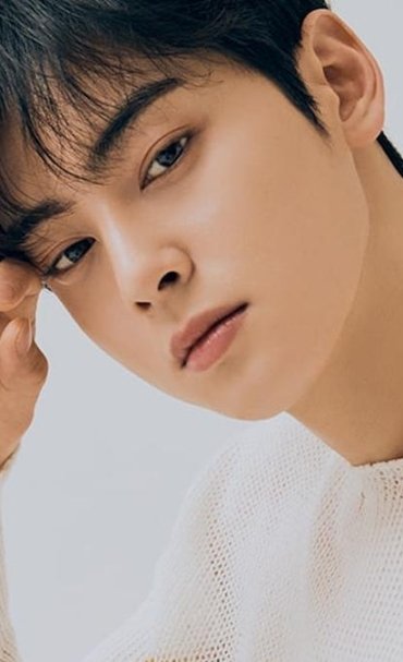 008832200_1618568414-cha-eun-woo-2.jpeg